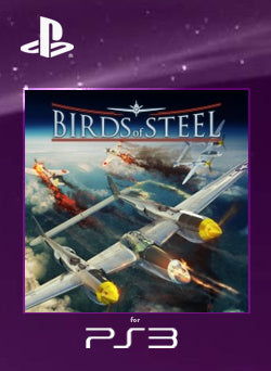 Birds of Steel PS3 - NEO Juegos Digitales