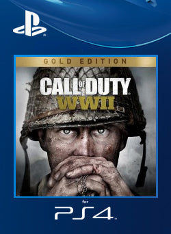 Call of duty sales wwii gold edition
